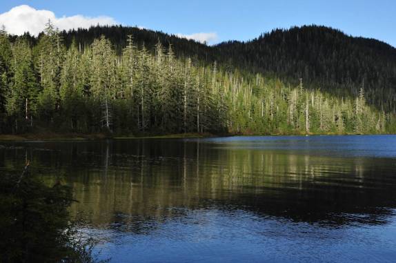 Lagoa em área rural de Ketchikan, no sudeste do Alaska